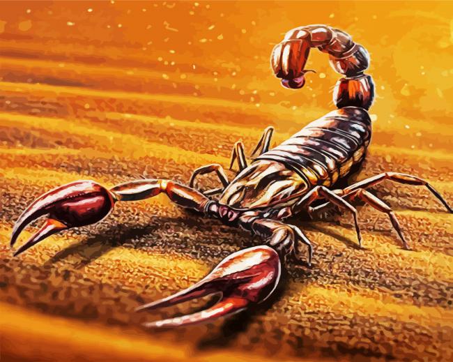 Scorpion Arts paint by numbers