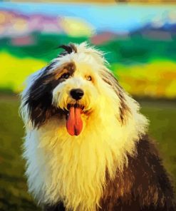 Sheepdog paint by numbers