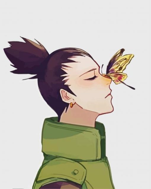 Shikamaru And Butterfly paint by number