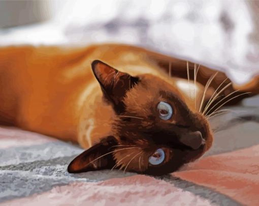 Siamese Cat paint by number