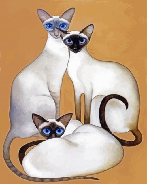 Siamese Family paint by number