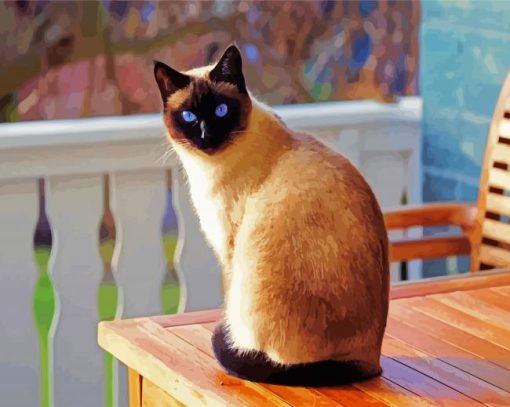 Siamese Kitten paint by number