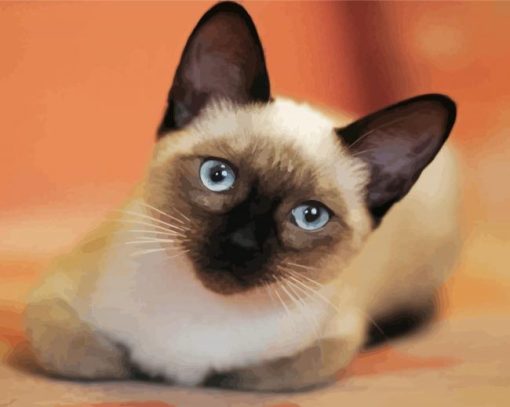 Siamese Kitty paint by number