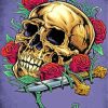 Skull Head And Roses paint by number