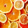 Sliced Citrus Fruits paint by numbers