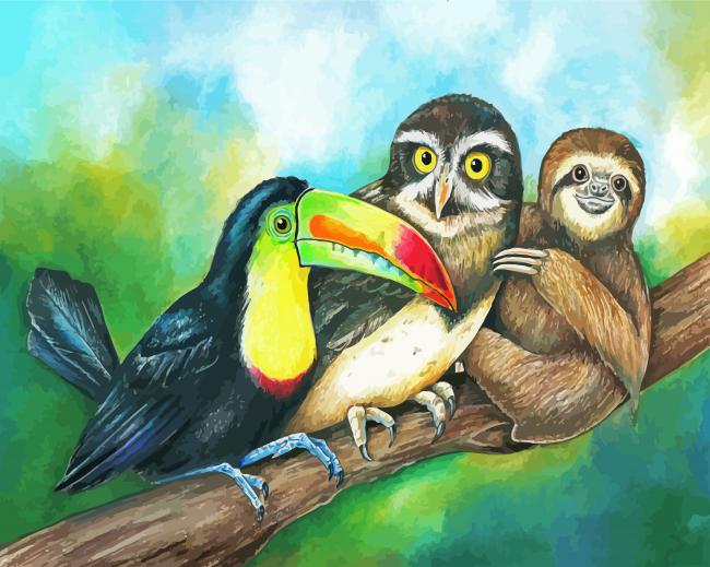 Sloth With Toucan And Owl paint by number