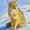 Snow Coyote paint by number