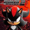 Sonic Shadow paint by number
