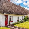 Thatched paint by number