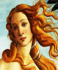 The Birth Of Venus By Botticelli paint by numbers