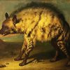 The Hyena paint by number