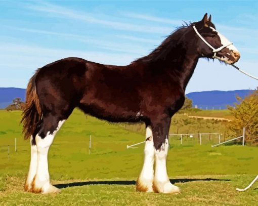 The Shire Horse Animal paint by number