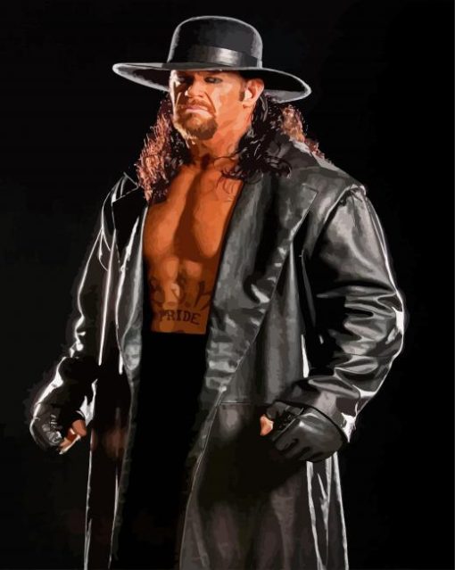The Undertaker Wrestler paint by number