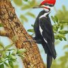 The Woodpecker Bird paint by numbers