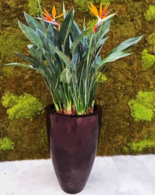 The Strelitzia Nicolai paint by numbers