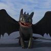 Toothless Hwo To Train Your Dragon paint by number