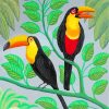 Toucans Birds Art Paint by numbers