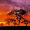 Trees Silhouette Kenya paint by number