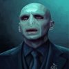 Voldemort paint by number
