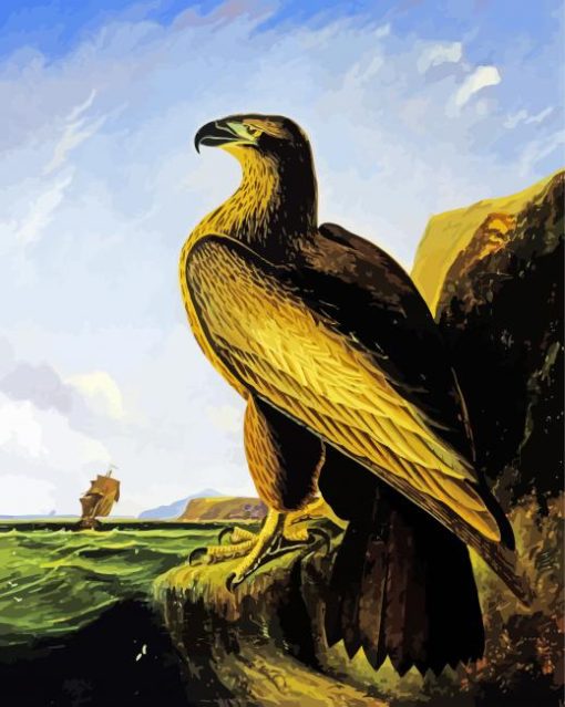 Washington Sea Eagle By John James Audubon paint by number