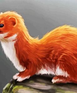 Weasel paint by numbers