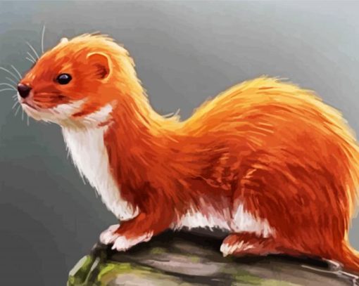 Weasel paint by numbers