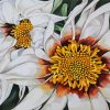 White Gazania paint by number