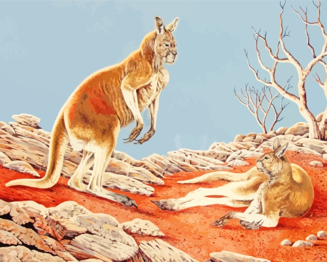 Wild Kangaroos paint by numbers