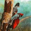 Woodpecker Bird paint by numbers