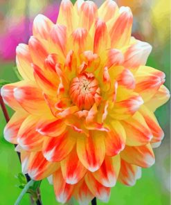 Yellow Orange Dahlia paint by number