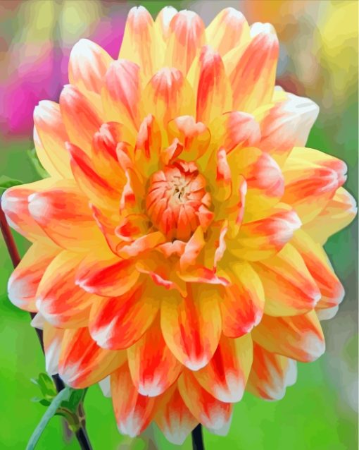 Yellow Orange Dahlia paint by number