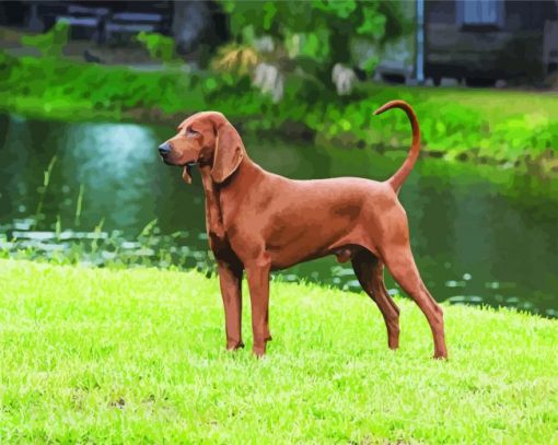 Aesthetic Brown Coonhound paint by number
