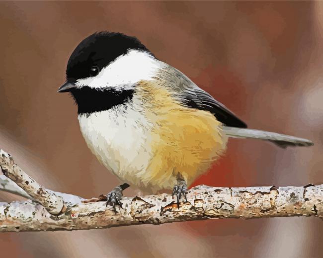 Aesthetic Chickadee paint by number