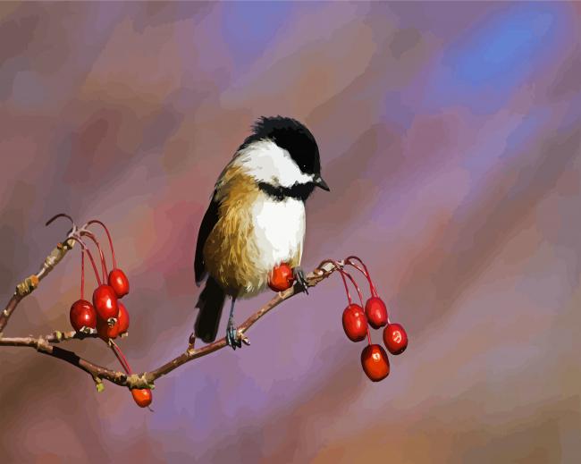 Aesthetic Chickadee paint by number
