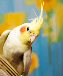 Aesthetic Cockatiel paint by number