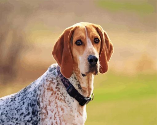 Aesthetic Coonhound Dog paint by number