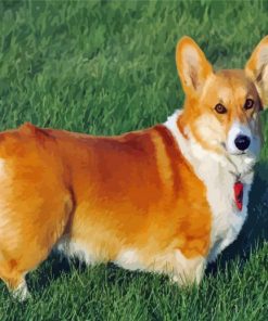 Aesthetic Corgis Dog paint by numbers