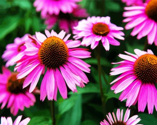 Aesthetic Purple Coneflower paint by numbers