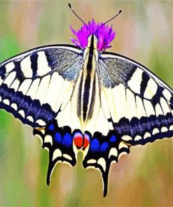 Aesthetic Swallowtail paint by number