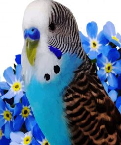 Aesthetic Blue Budgerigar paint by numbers