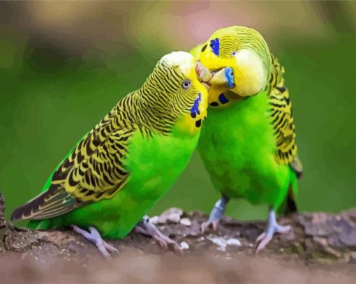 Aesthetic Budgerigars paint by numbers