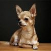 Aesthetic Chihuahua Dog paint by number