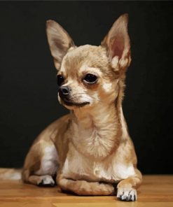 Aesthetic Chihuahua Dog paint by number