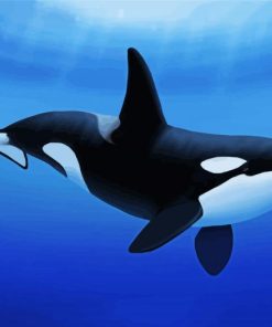 Aesthetic Killer Whale paint by numbers