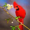 Aesthetic Red Cardinal Bird paint by number