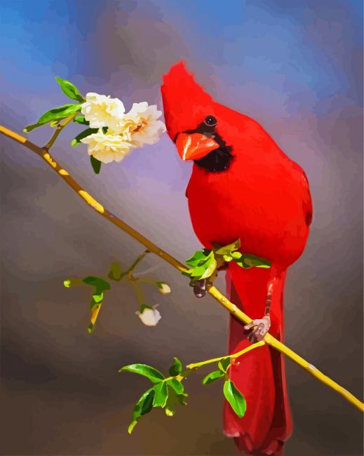 Aesthetic Red Cardinal Bird paint by number