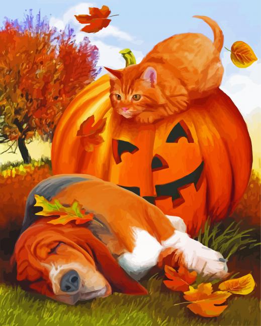 Basset Hound And Cat paint by numbers