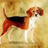 Beagle Dog Art paint by numbers