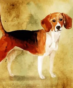 Beagle Dog Art paint by numbers