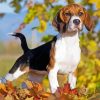 Beagle Dog Fall Leaves paint by numbers